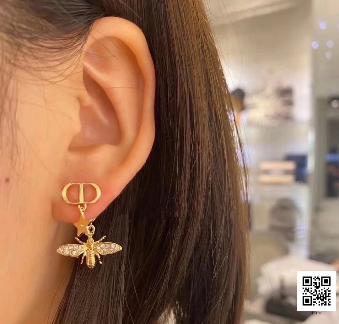 CD Earrings